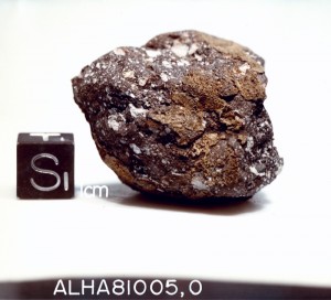 ALHA81005: It came all the way from the moon. (NASA image)